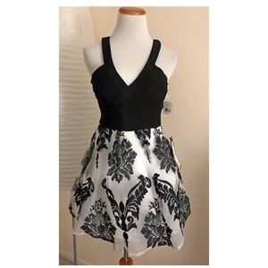 Crystal Doll Flocked Fit & Flare Dress, Size 11